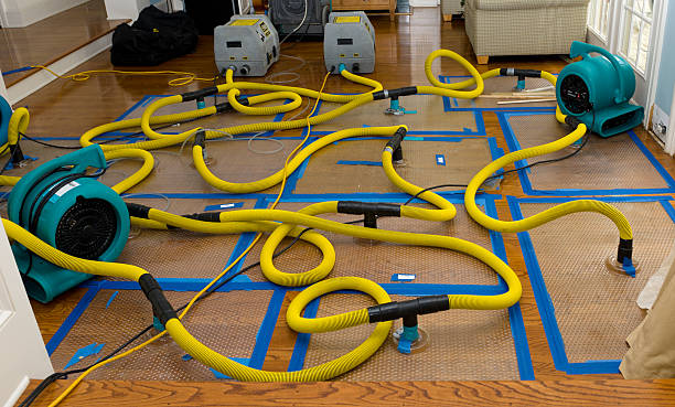 Professional Emergency Water Removal technician working in Thornton, WA